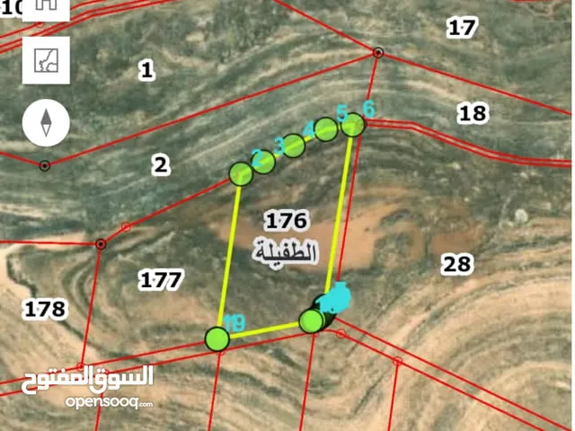 Commercial Land for Sale in Tafila Other