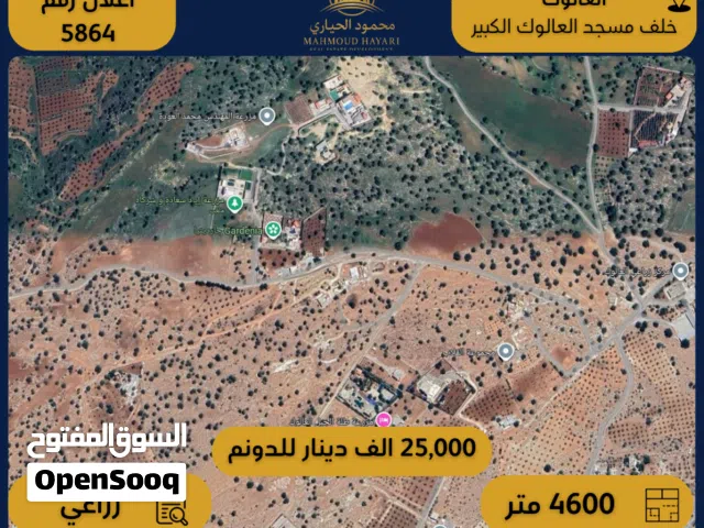Farm Land for Sale in Zarqa Al-Alouk