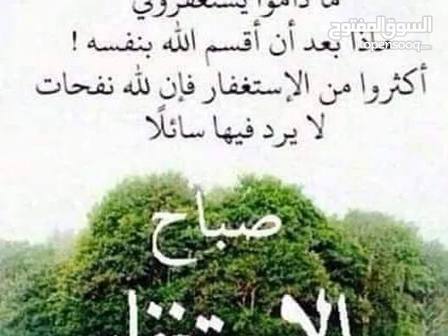 مطلوب مشروع او شراكة لغاية 100000