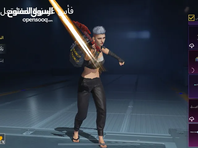 Pubg Accounts and Characters for Sale in Irbid