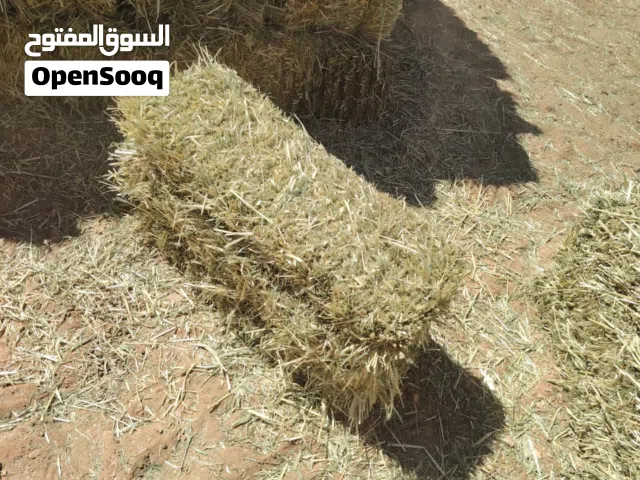 قضب اول حصدة بالشعير بالنعمة  الطول متر  حاجة تشكر روحها