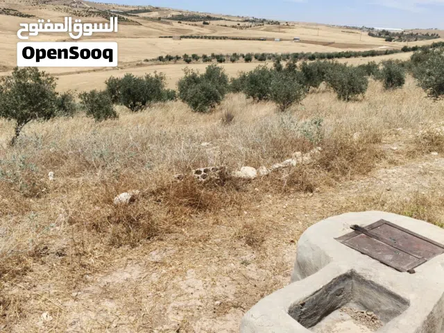 Farm Land for Sale in Madaba Thiban