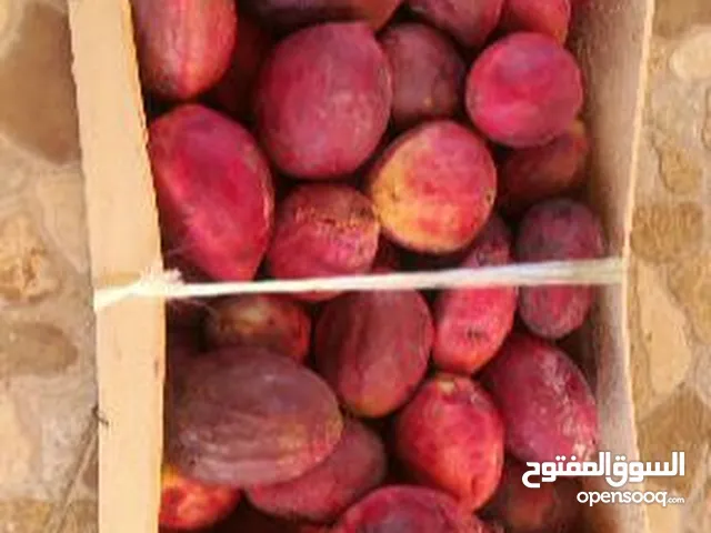 بيذام للبيع
