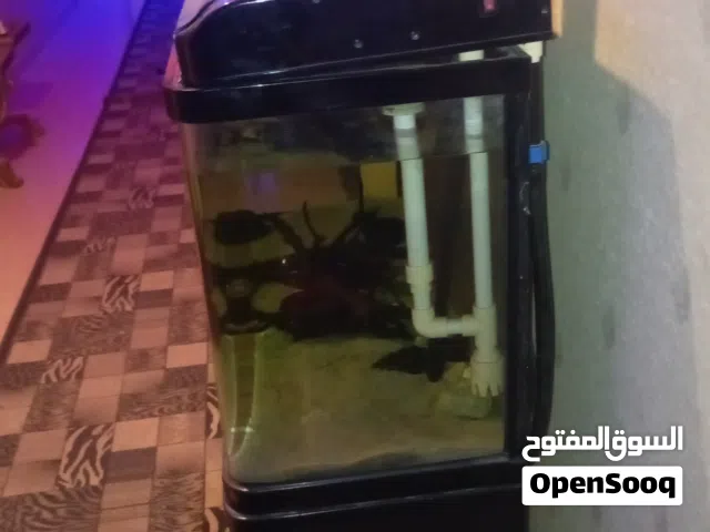 حوض سمك مستعمل