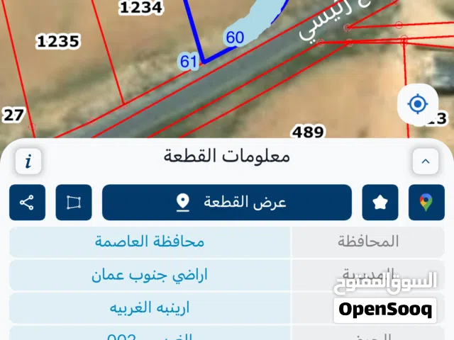 اراضي جنوب عمان الجيزة ارينبه الغربيه