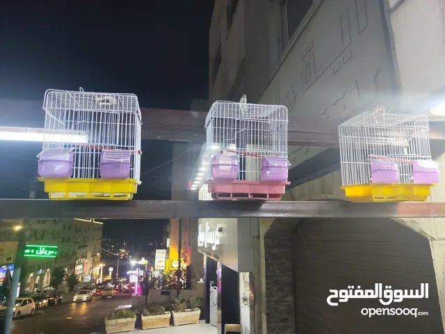 قفص طييور مفرد تابع الوصف و شوف السسسسسسعر الصدمة