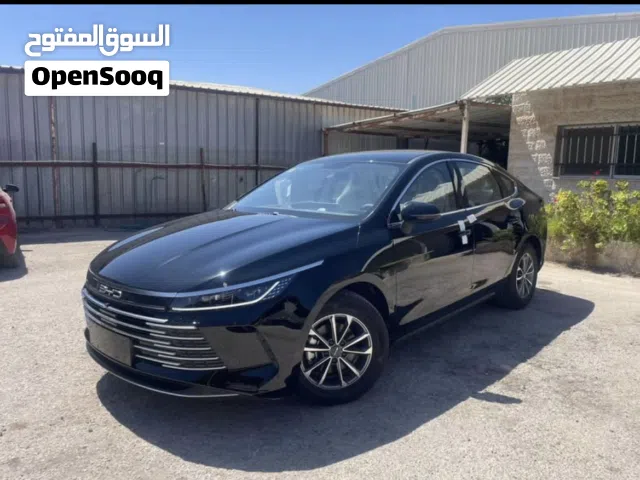 2025 BYD Destroyer 05