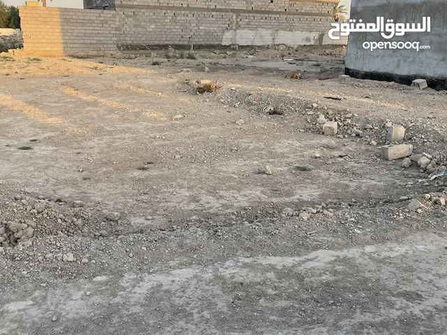 Farm Land for Sale in Basra Abu Al-Khaseeb