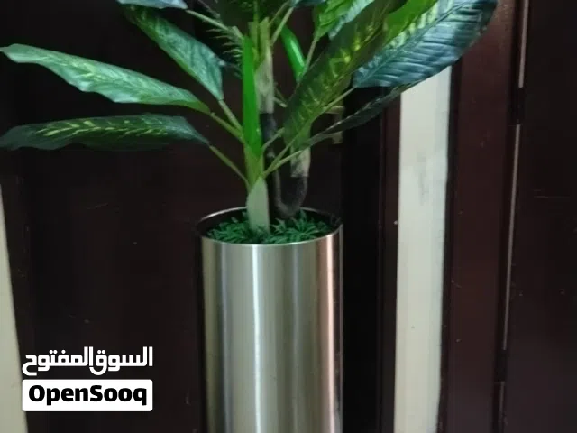 أصيص زرع مع الشجرة كبير ومعدن قوي مع أدوات واجهزه منزلية