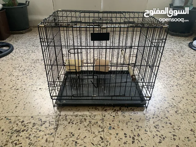 قفص ببغاء أو قطه
