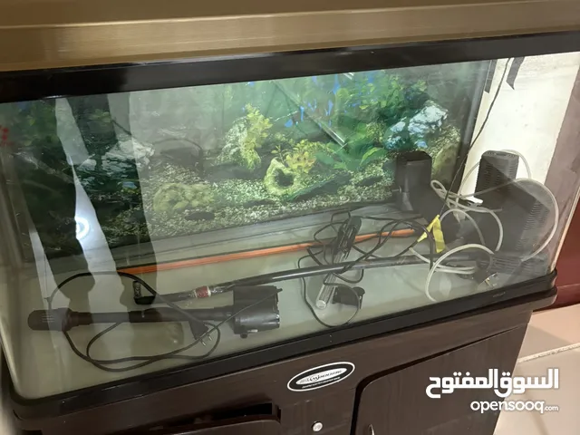 حوض سمك كبير جدا
