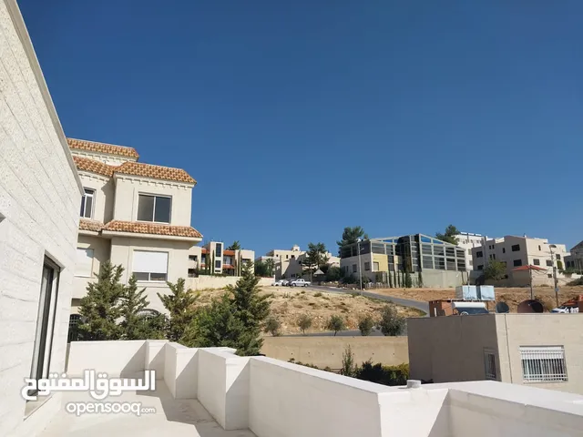 شقة مع روف بمساحة 550 متر للبيع في دابوق ( Property ID : 30071 )