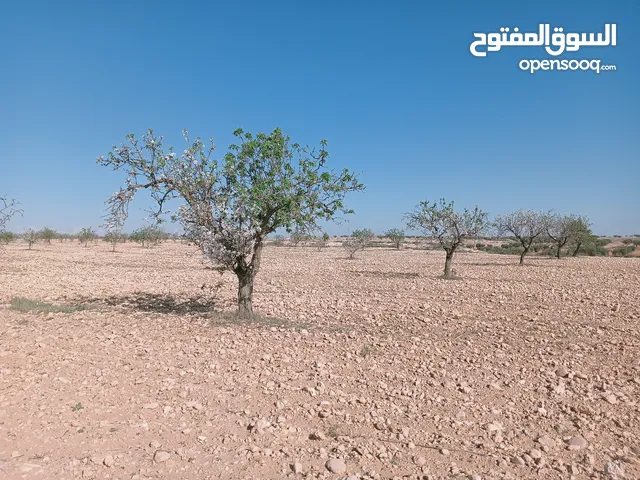 Farm Land for Sale in Sfax Other