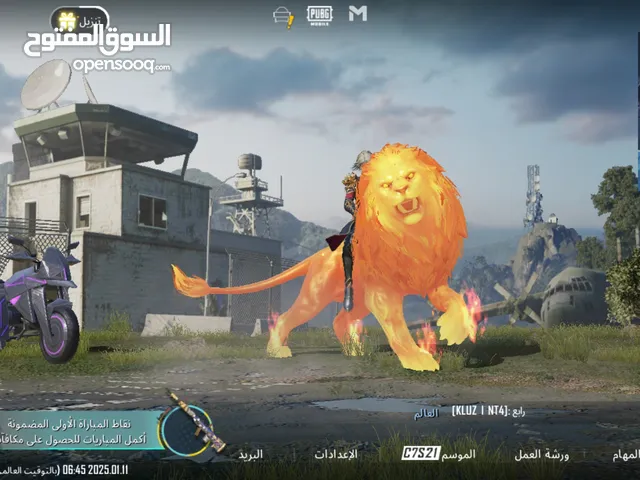 Pubg Accounts and Characters for Sale in Basra