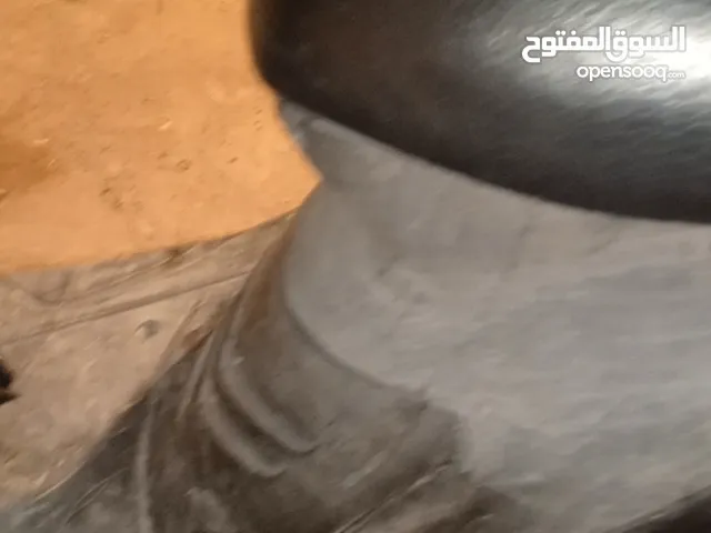 ماكس عدله البيع