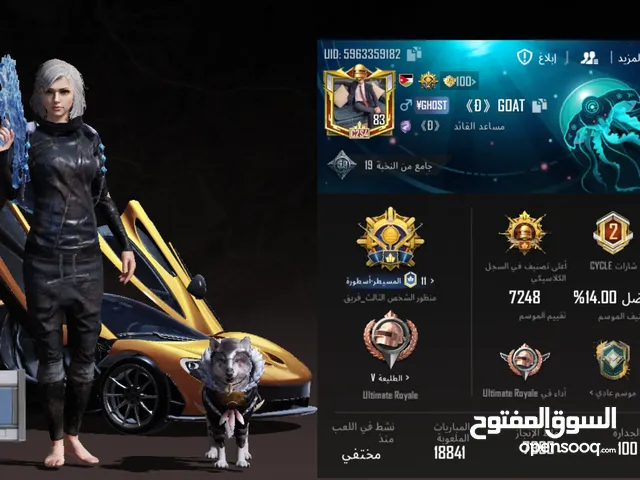 Pubg Accounts and Characters for Sale in Zarqa
