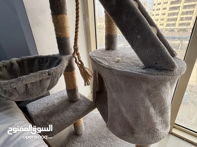 Cat tree for your playful cat