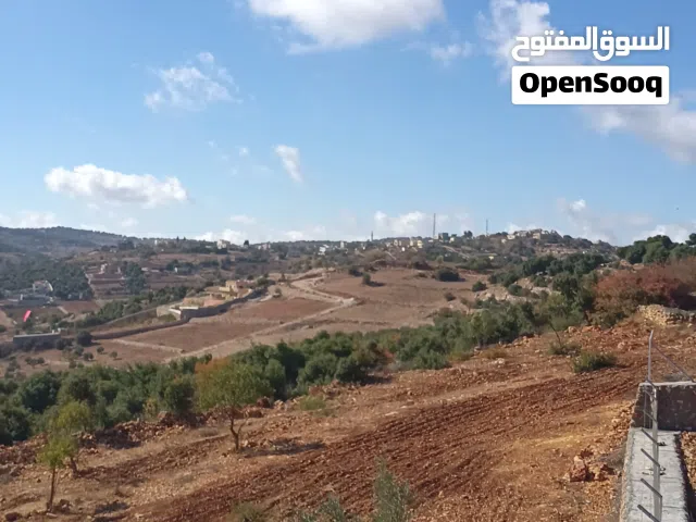 Mixed Use Land for Sale in Ajloun I'bbeen