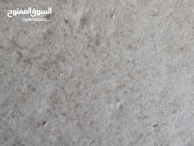 155 m2 3 Bedrooms Apartments for Sale in Nablus Asira Ash-Shamaliya