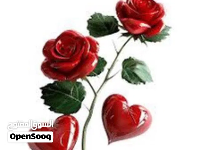 مطلب واحد لمشاركة في غرفة مفروشة