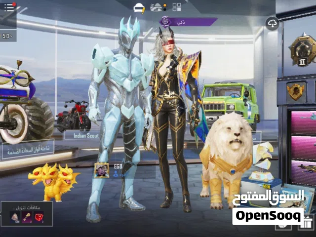 Pubg Accounts and Characters for Sale in Irbid