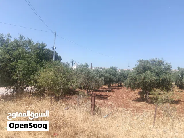 أرض للبيع.