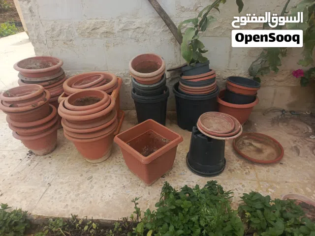 اصص وقواوير نباتات مستعملة