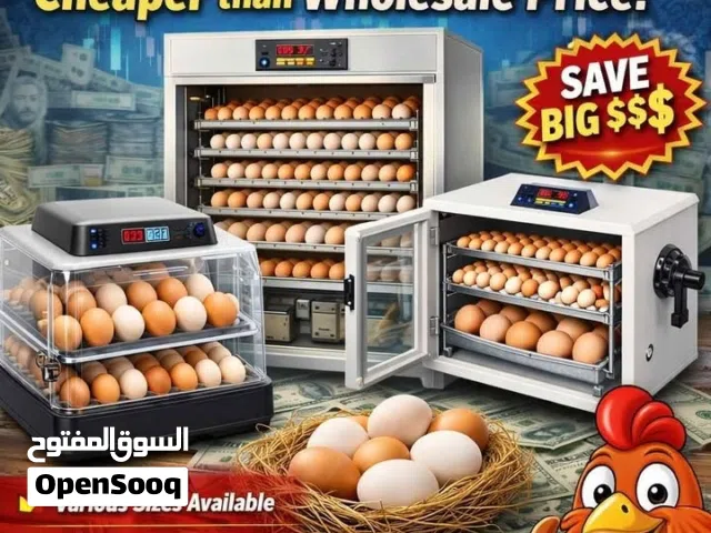 egg incubator. egg hatcher