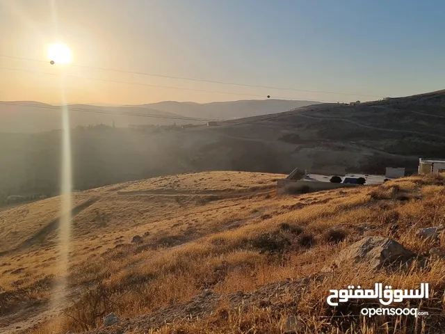 ارض زراعية