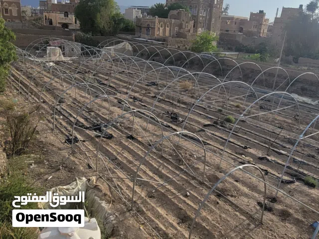 Farm Land for Rent in Sana'a Ar Rawdah