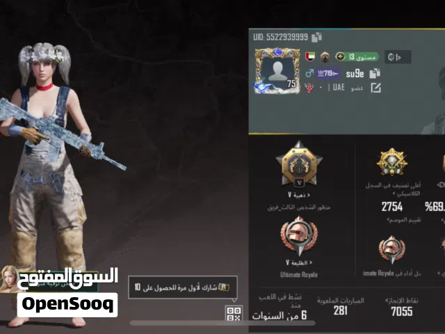 Pubg Accounts and Characters for Sale in Ajman