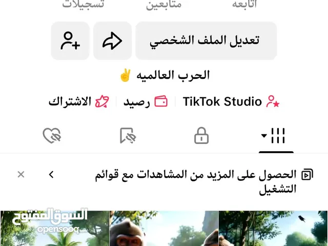 حساب تيك توك