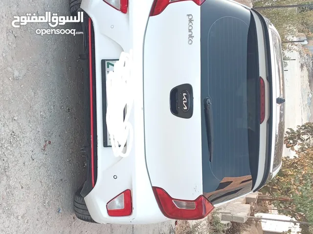 كيا مورنينج بيكانتو