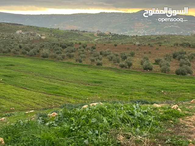 ارض في الكفير العنيبه بجانب الإسكان منبسطه واصل الخدمات
