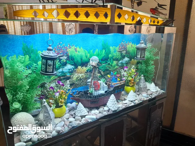 حوض سمك متر و30 عرض في 90 ارتفاع عمق 30