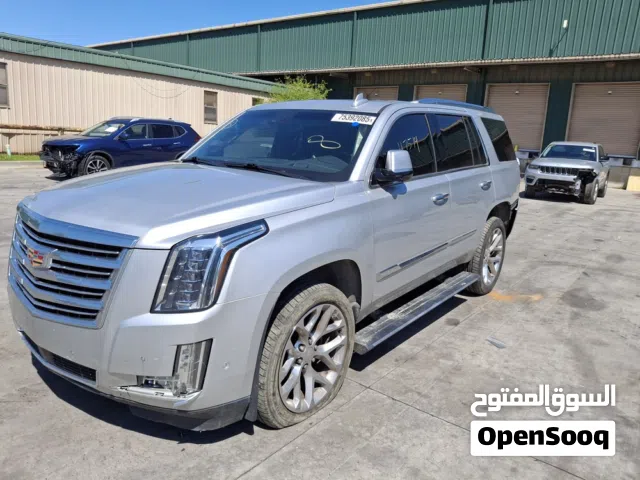 2019 Cadillac Escalade Platinum