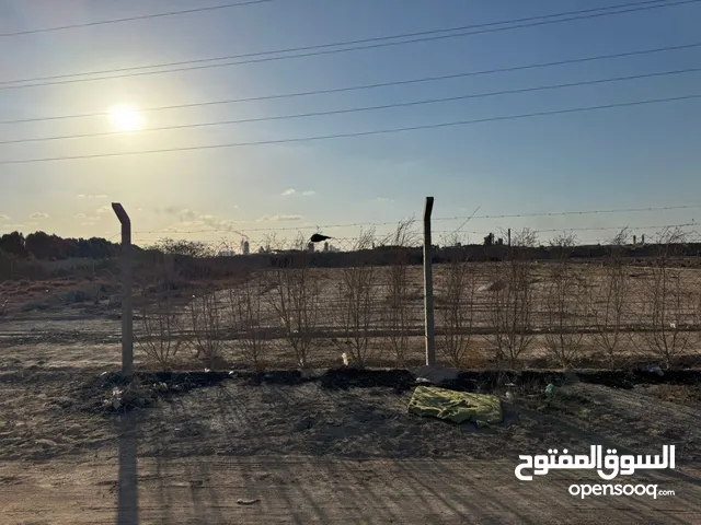 Farm Land for Sale in Basra Zubayr