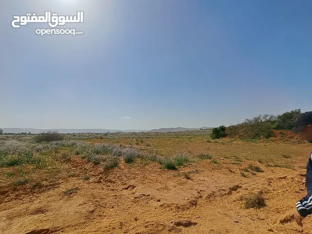 Farm Land for Sale in Tarhuna Other