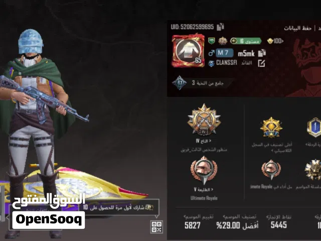 Pubg Accounts and Characters for Sale in Basra