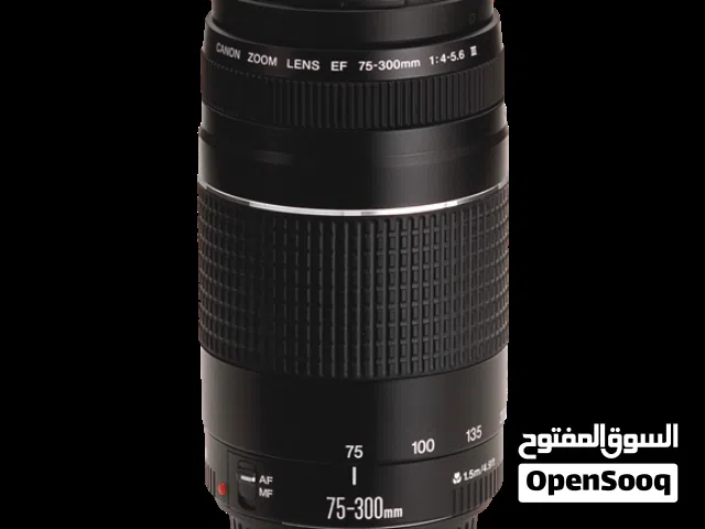 Canon 75-300mm lens (45 BD non-negotiable)