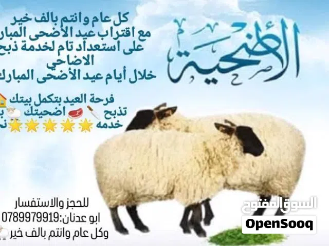 لحام لذبح الاضاحي