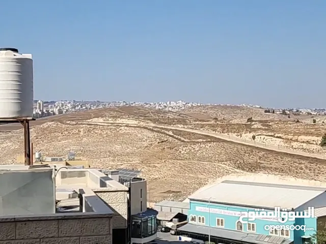 شقة 160 متر طابق اول وباركنج ارضي مع مصعد و اطلالة جميلة لا يوجد بناء امامك
