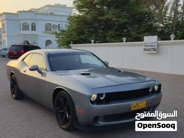 2014, Dodge, Challenger, R/T