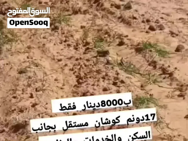Farm Land for Sale in Mafraq Al-Badiah Ash-Shamaliyah