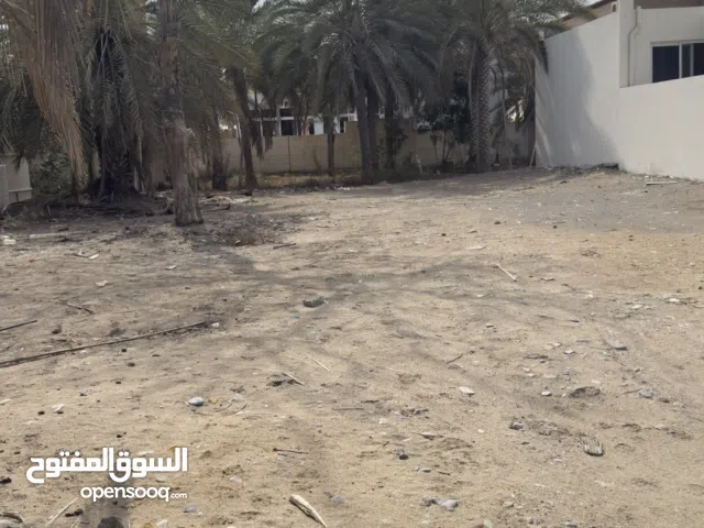Farm Land for Rent in Muscat Seeb