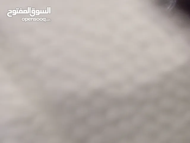  Building for Sale in Tripoli Al-Sabaa