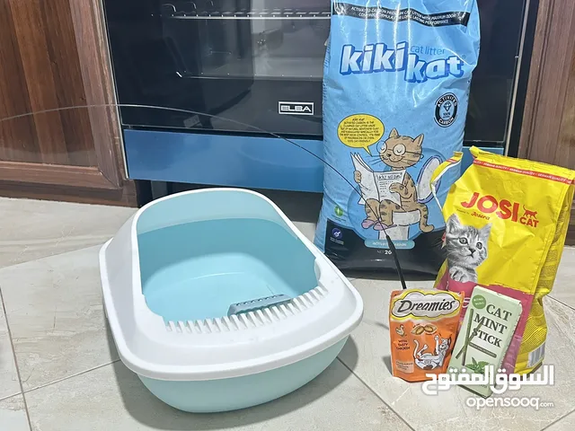 مستلزمات القطط (صندوق فضلات Litter box، Dry food، تراب الفضلات، Treats)