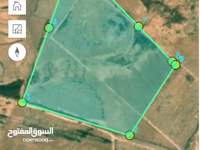 ارض للبيع في قرية السعيديه قريبه من الخدمات 31.500دنم
