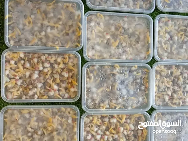 محار دوك بحري