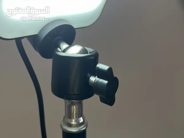 Park and camping light